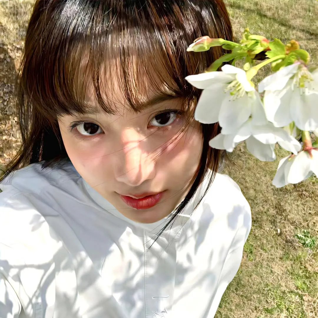 泰山和美人鱼